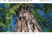 免费风景视频素材哪里找？这5个宝藏网站让你轻松下载高清素材