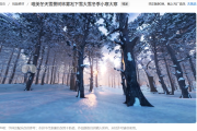 冰天雪地视频素材哪里找？这份专业指南助你打造冬日视觉盛宴！