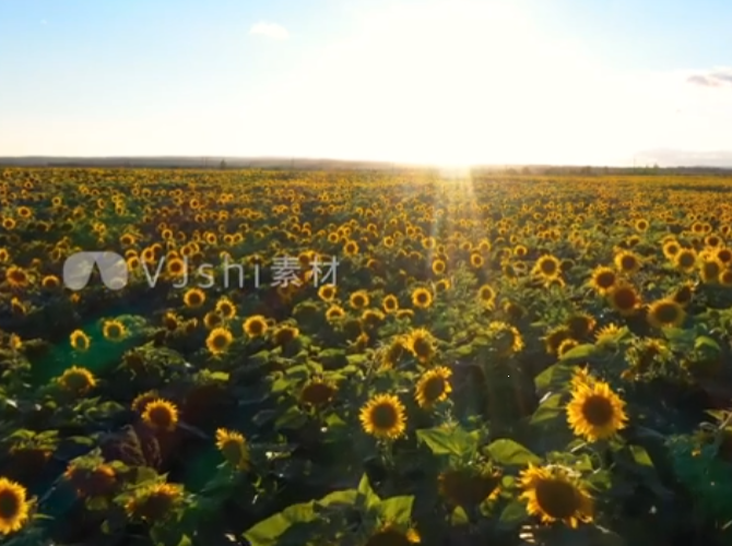 4k高清视频素材下载.png 4k高清视频素材下载.png