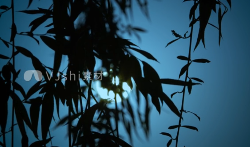 古诗背景视频素材.png 古诗背景视频素材.png